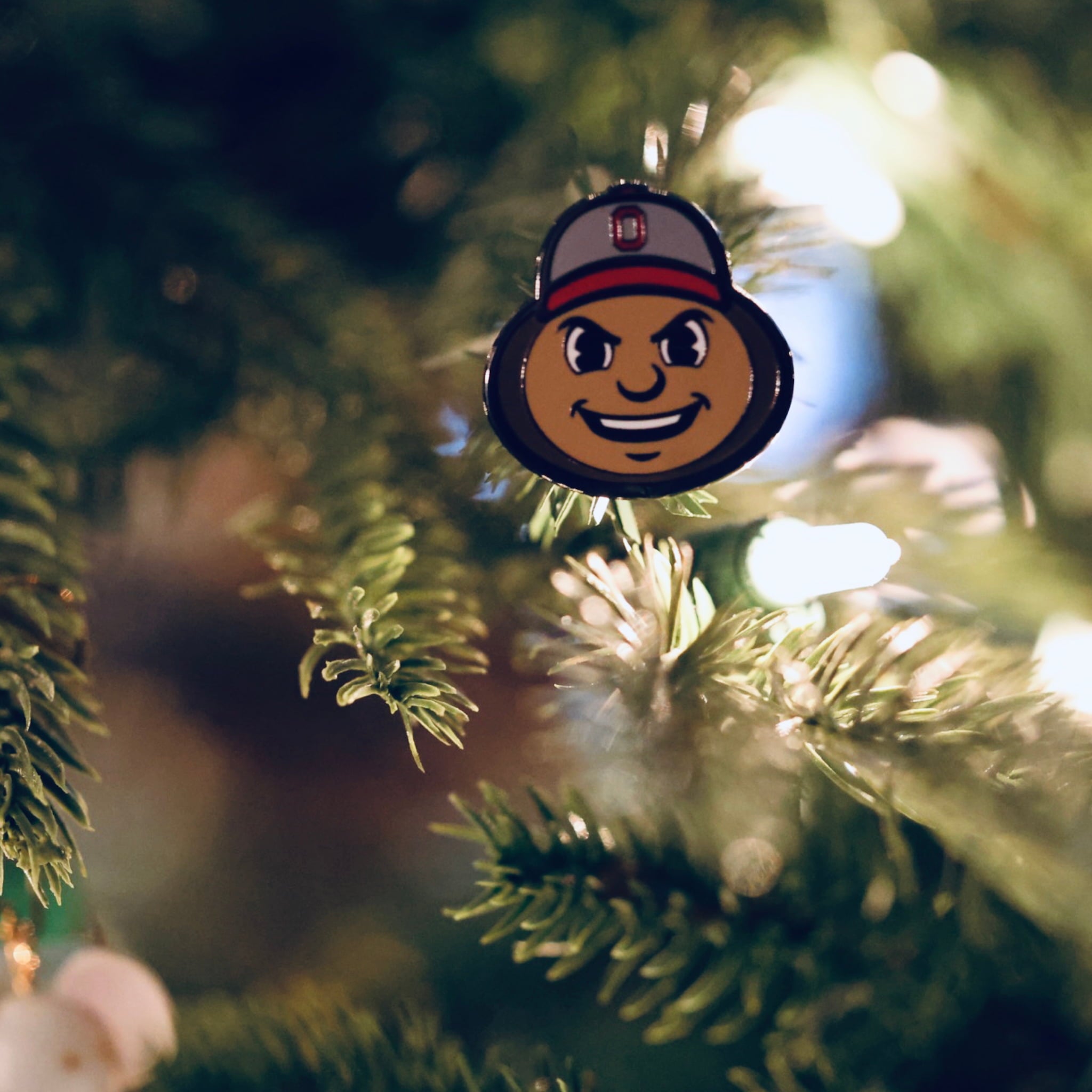 Ohio State Brutus Head Grit ball marker photographed on holiday greenery